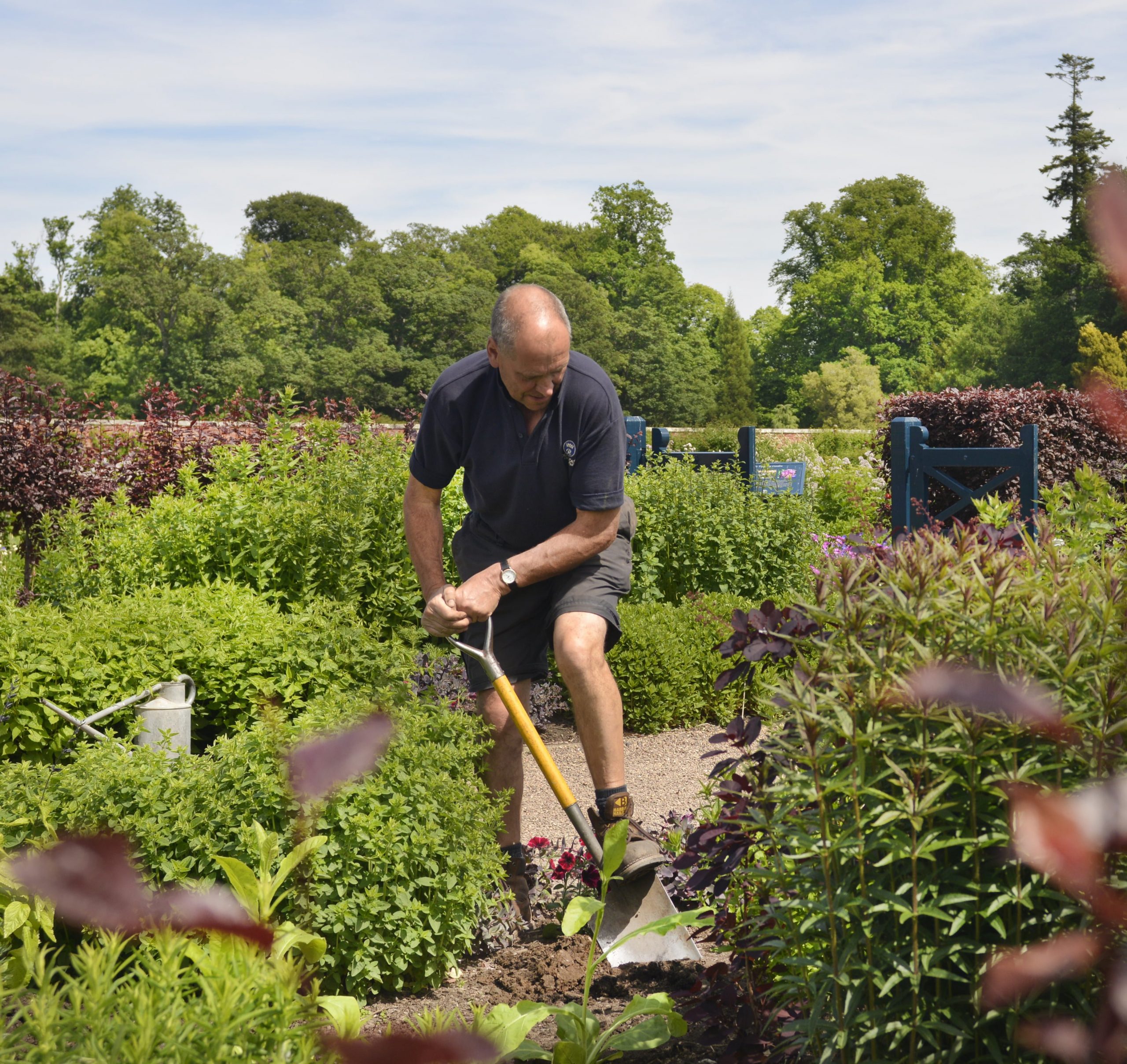 New this week in the garden at Floors