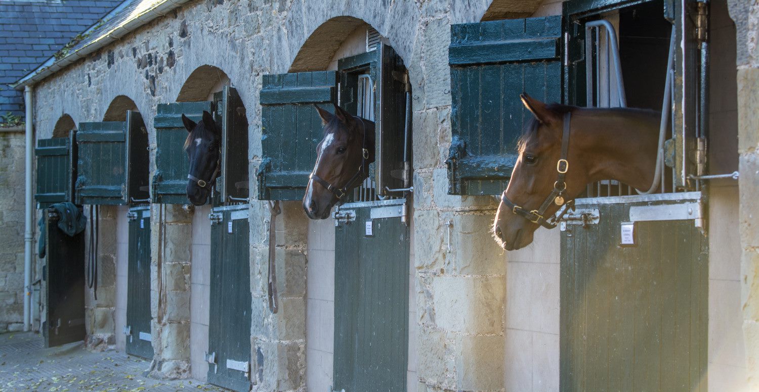 Gillon Bloodstock @ Floors Castle