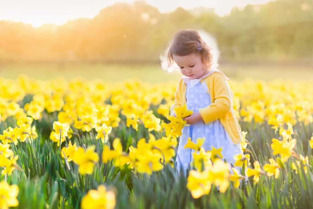 Easter Storytime Sessions