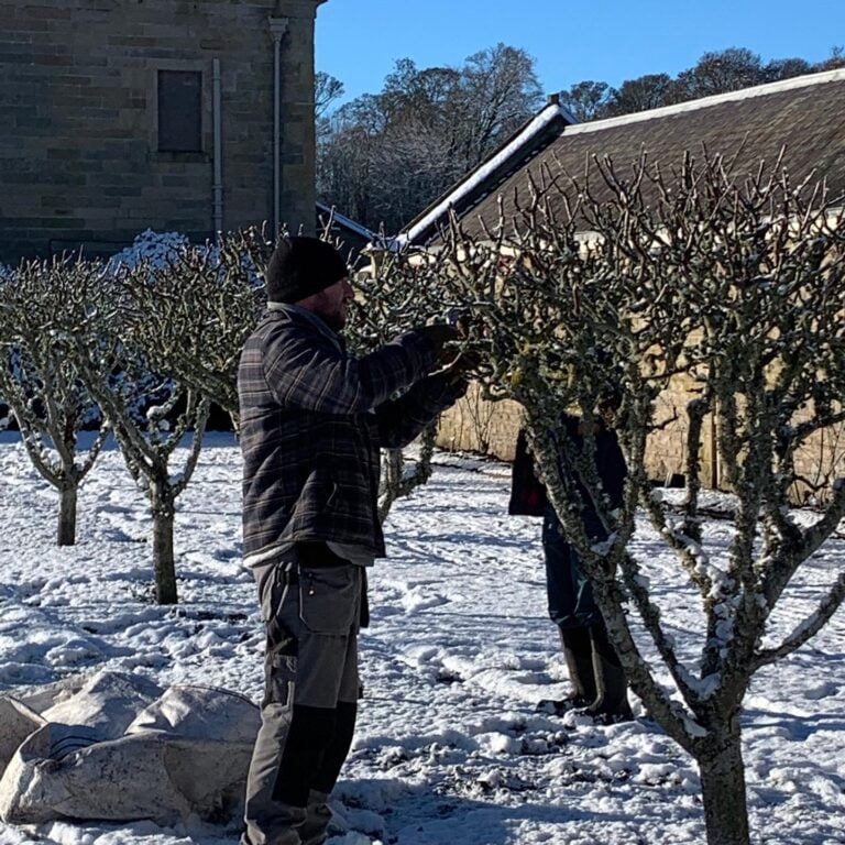 Pruning Workshop with Simon McManus, Head Gardener at Floors Castle