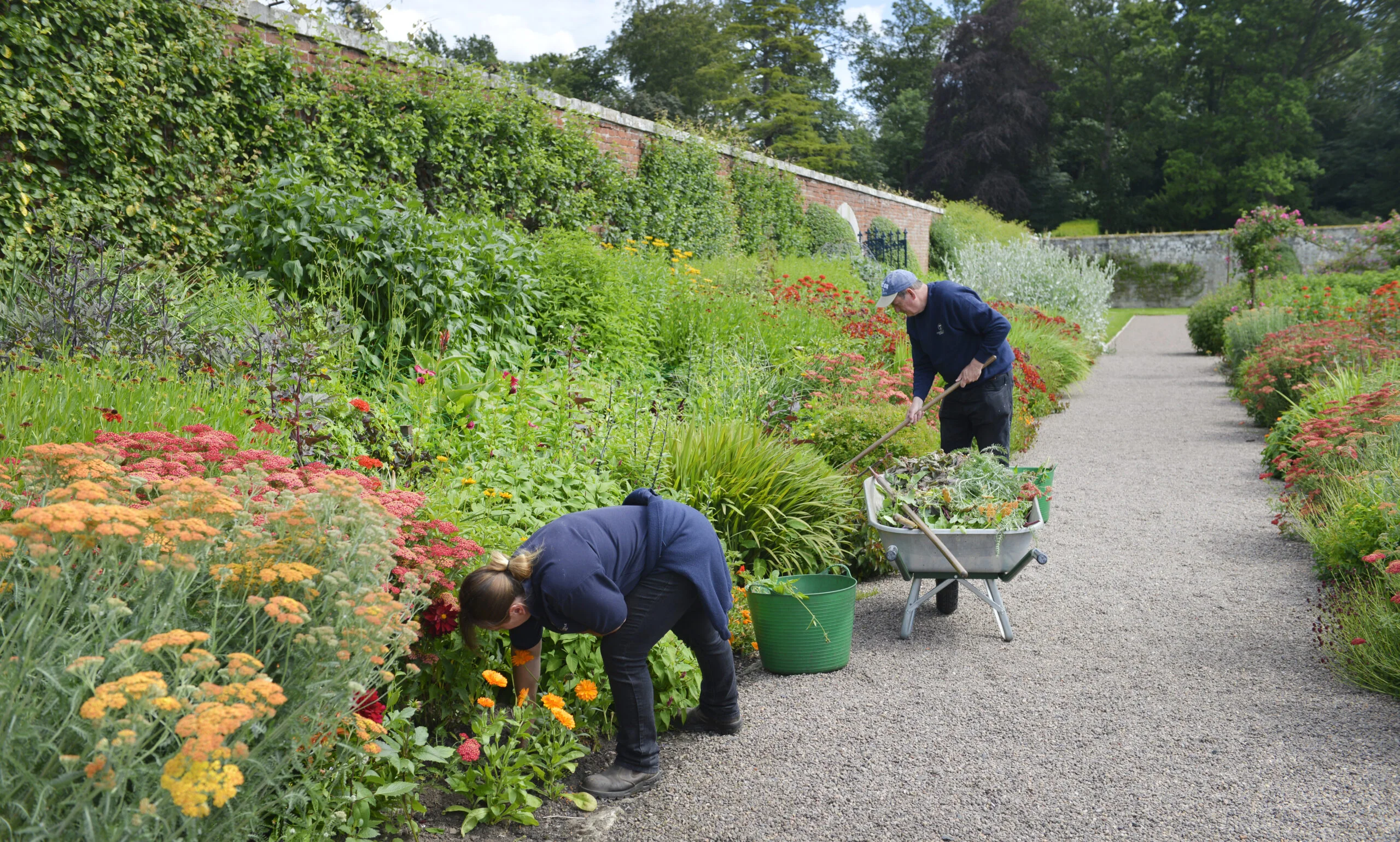 Become a Volunteer at            Floors Castle Walled Gardens