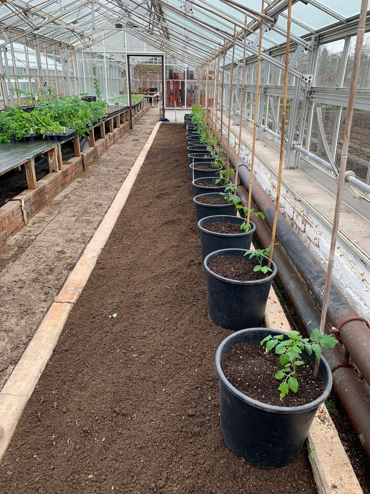 April’s Spring Garden Update