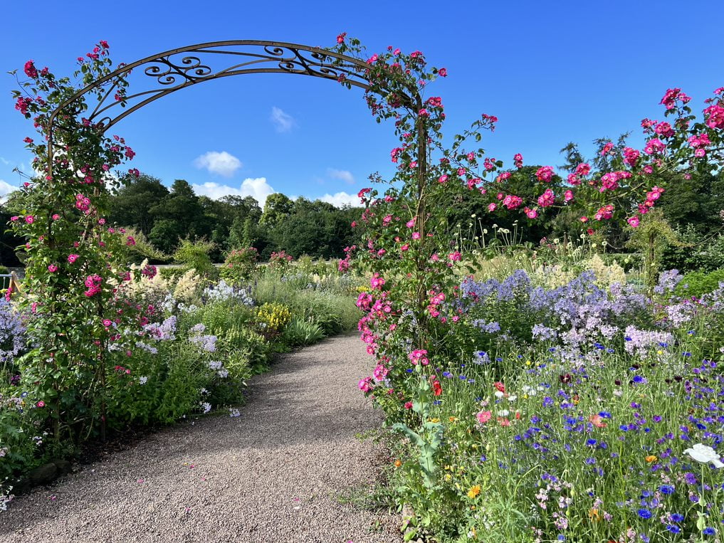 July’s Summer Garden Update