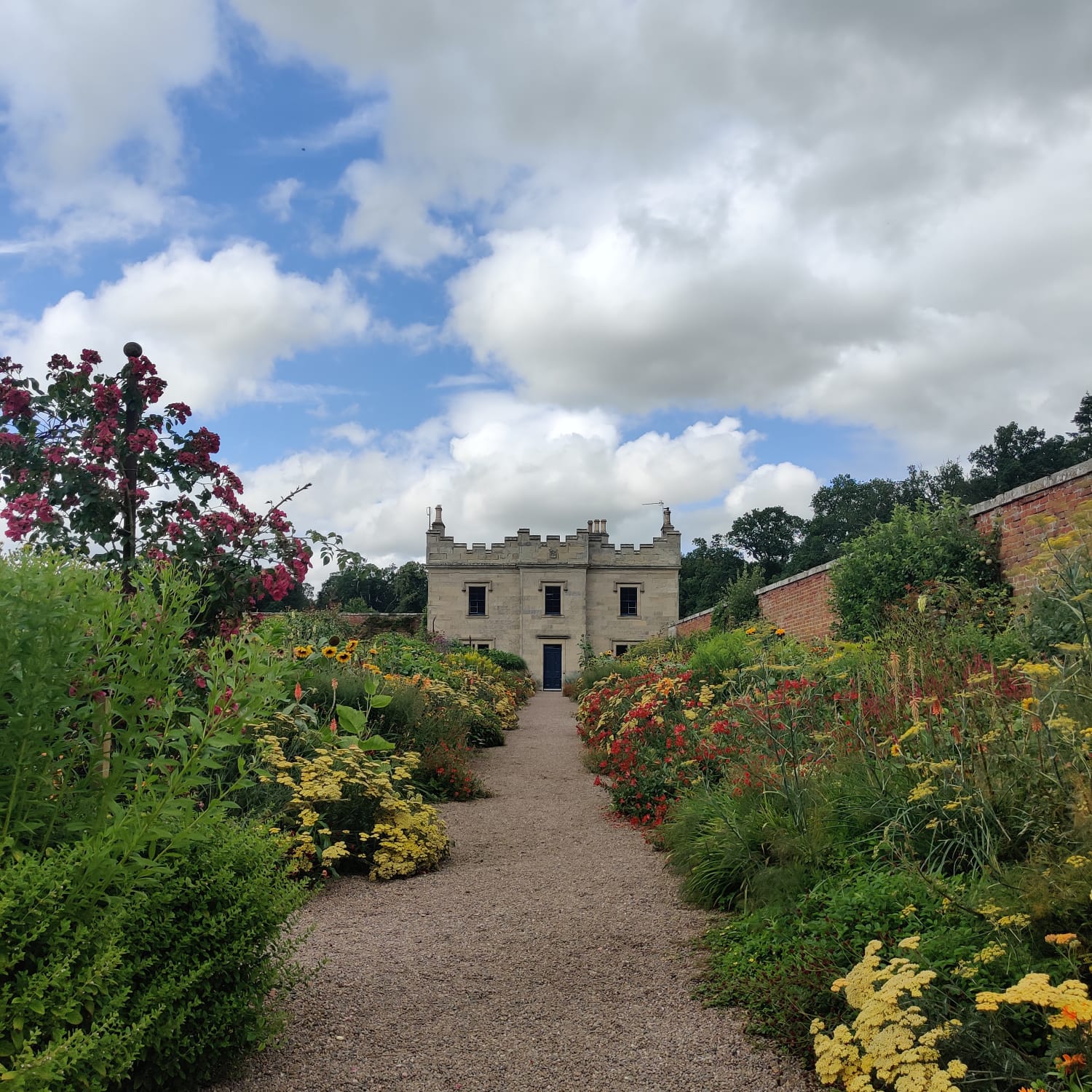 August’s Summer Garden Update