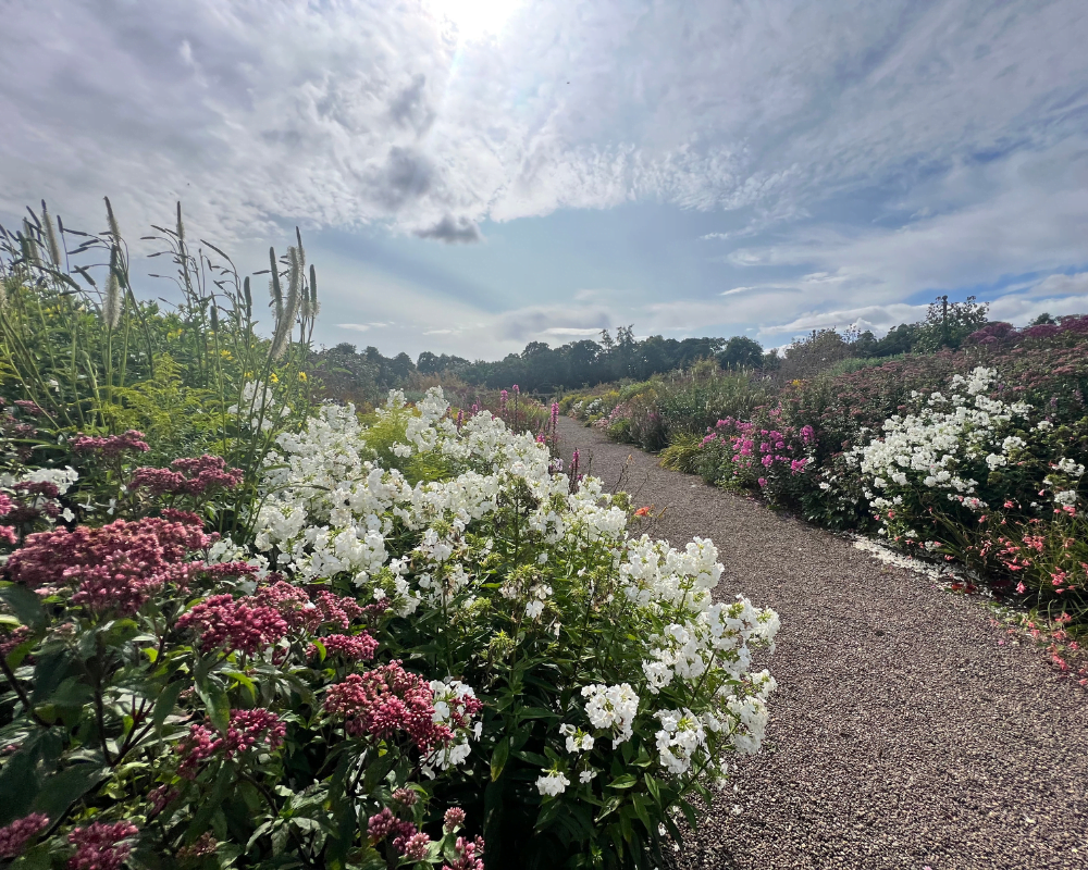 Private Evening Gardening Tour with Fizz and Canapés – July