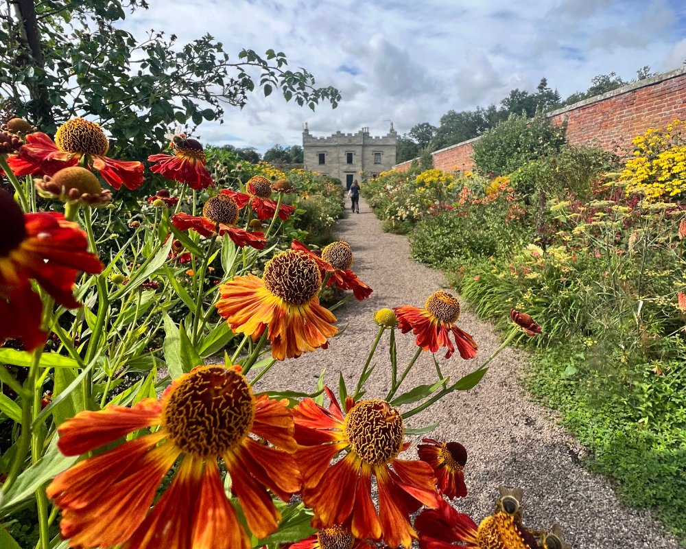 Private Evening Gardening Tour with Fizz and Canapés – August