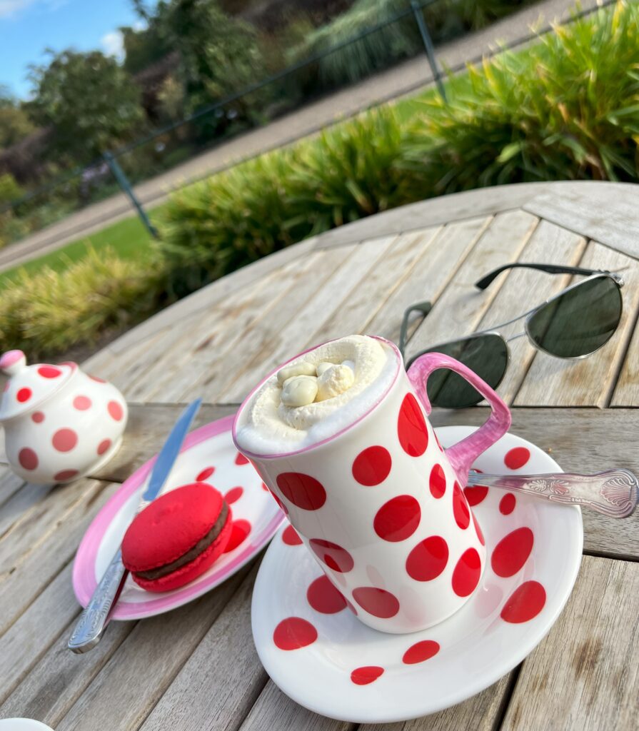 Spotty crockery discount