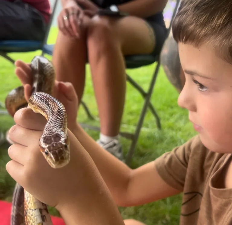 Zoolab Animal Explorer – Interactive Sessions