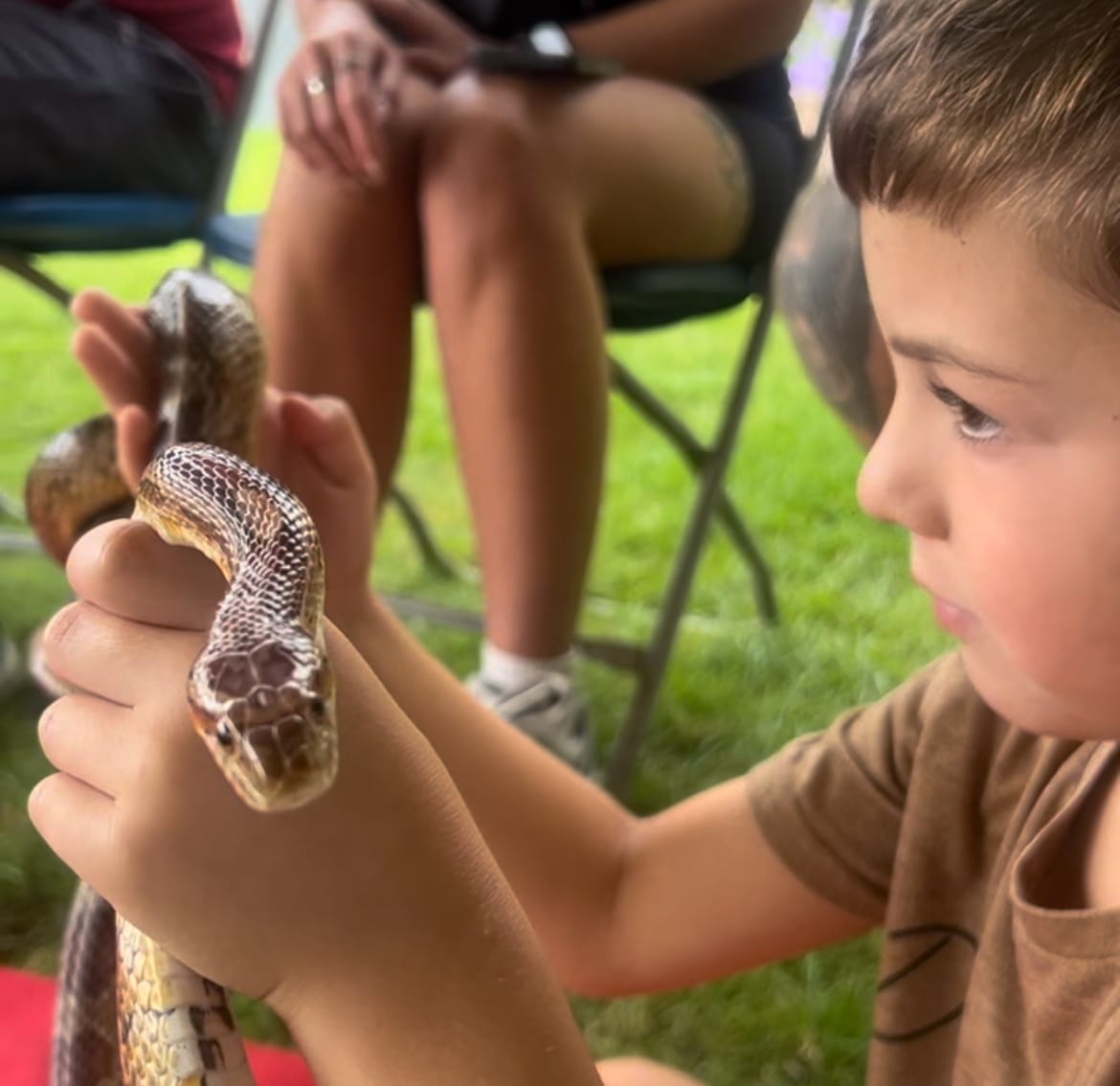 Zoolab Animal Explorer – Interactive Sessions