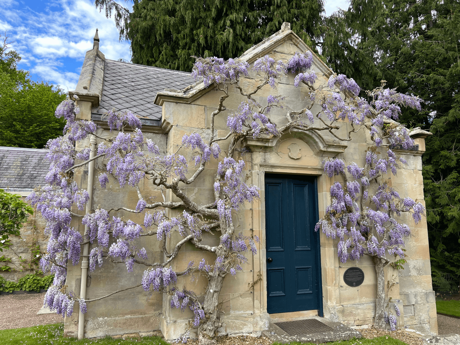 May in the Garden 
