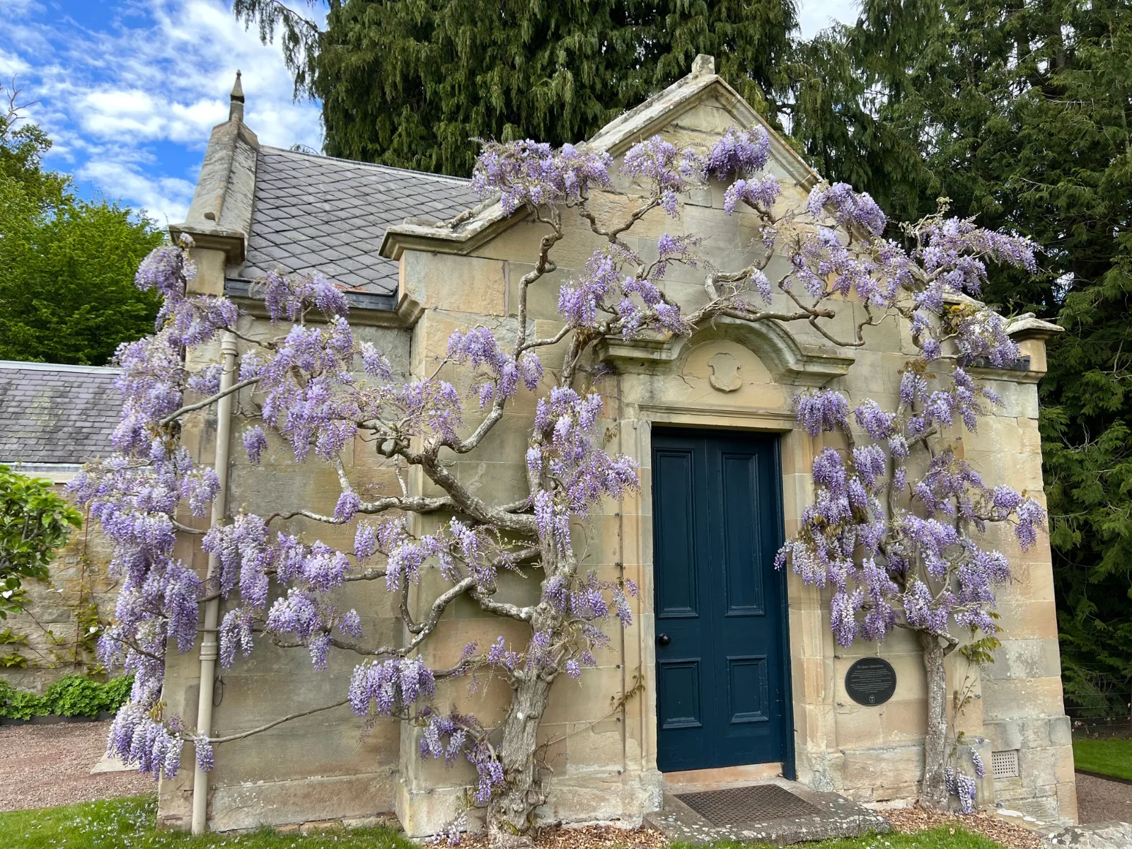 May in the Garden 