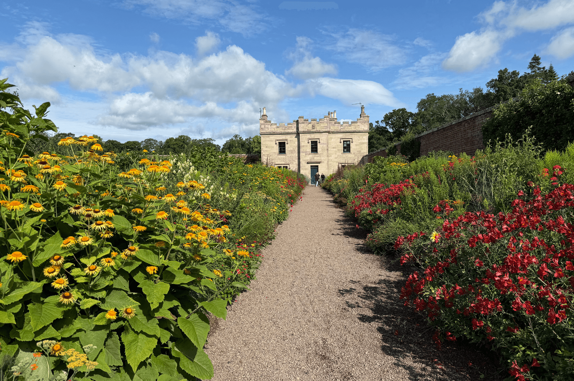 July in the Garden 
