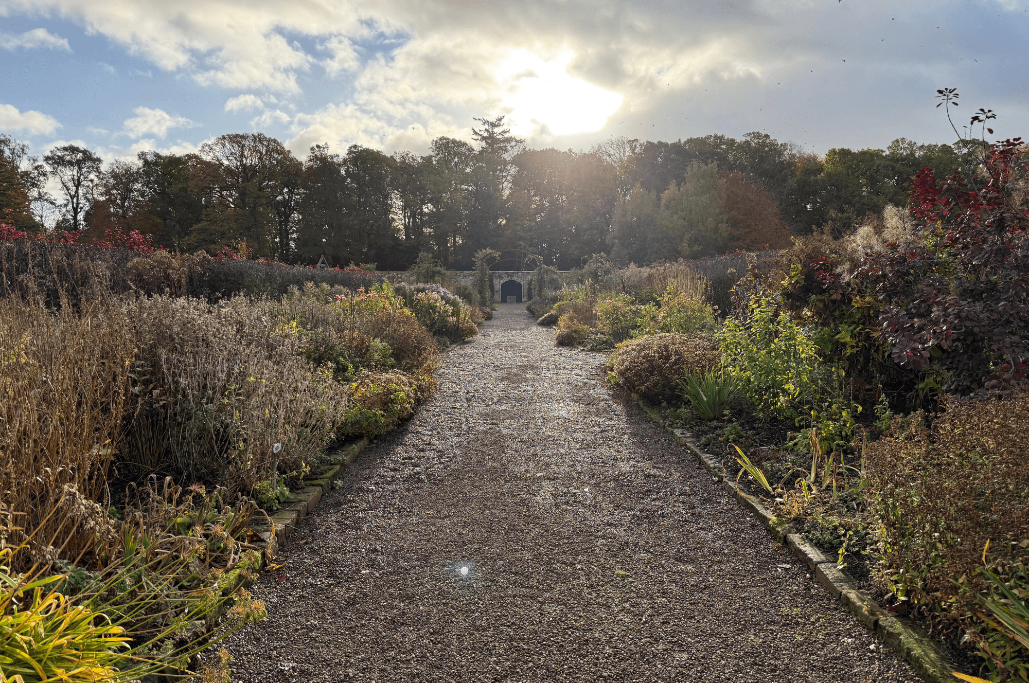 October in the Garden 