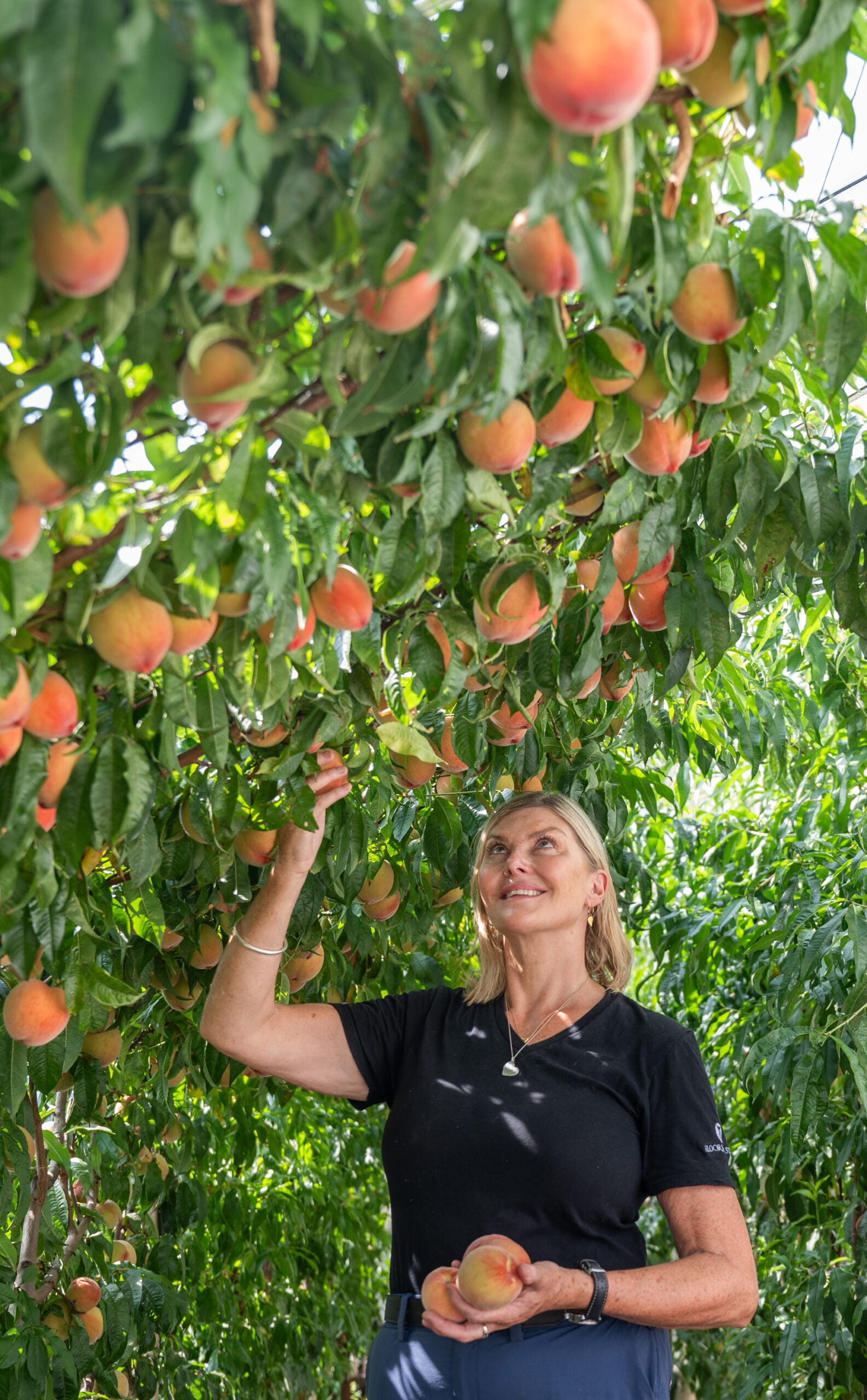 Before the Gates Open: September Walled Garden Tour