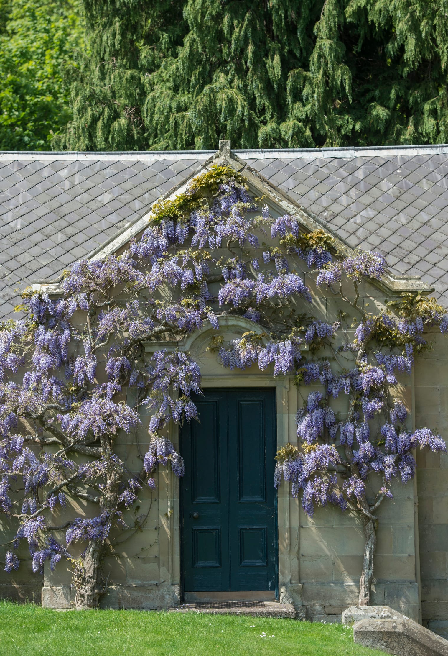 Before the Gates Open: May Walled Garden Tour