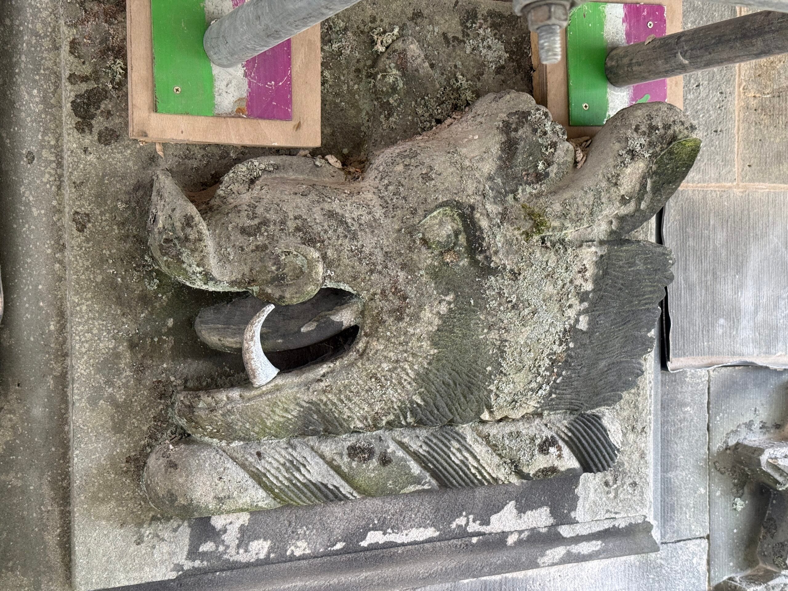 The north-facing boar, right, remains in much better condition and even retains its original lead tusk.